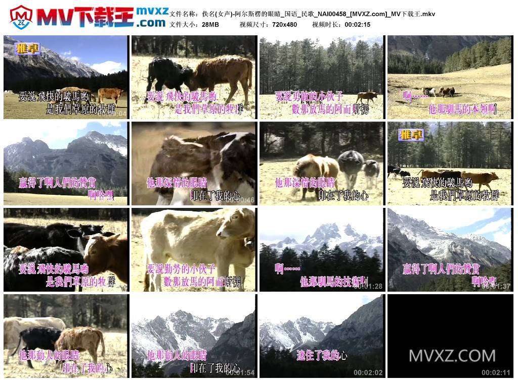 佚名(女声)-阿尔斯楞的眼睛_国语_民歌_NAI00458